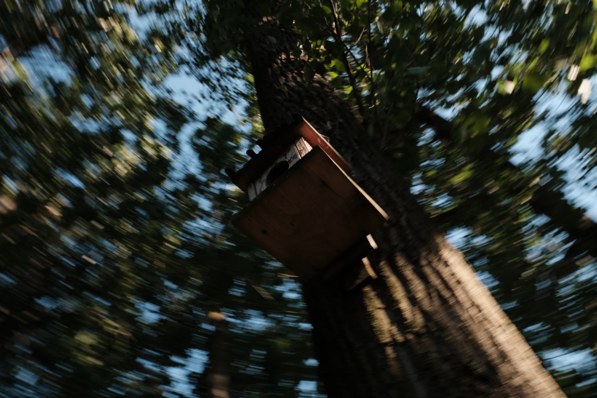 A tree house blurred by circular camera movement